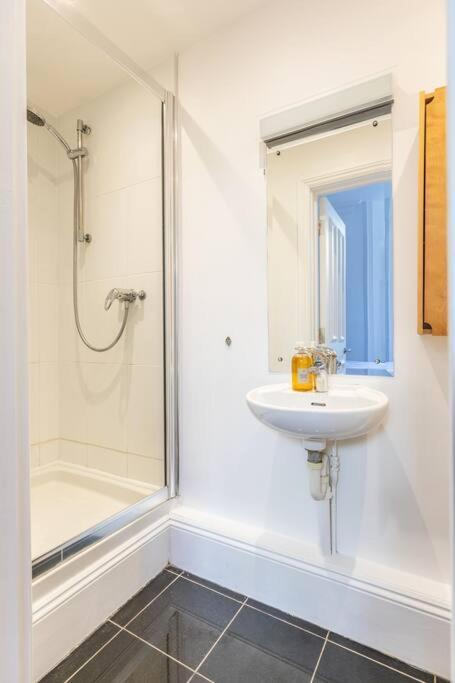 Victorian Flat Close To Station With Large Garden Apartment Brighton Bagian luar foto